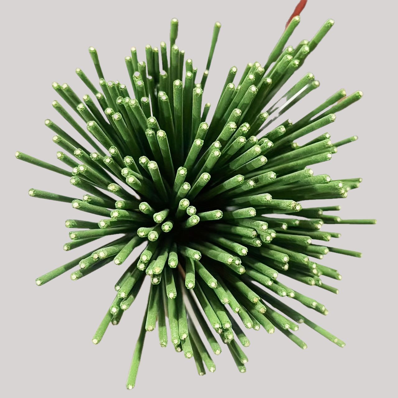 Riet Diffuser Sticks Citroengr - Home Fragrance Logo recensie en prijs